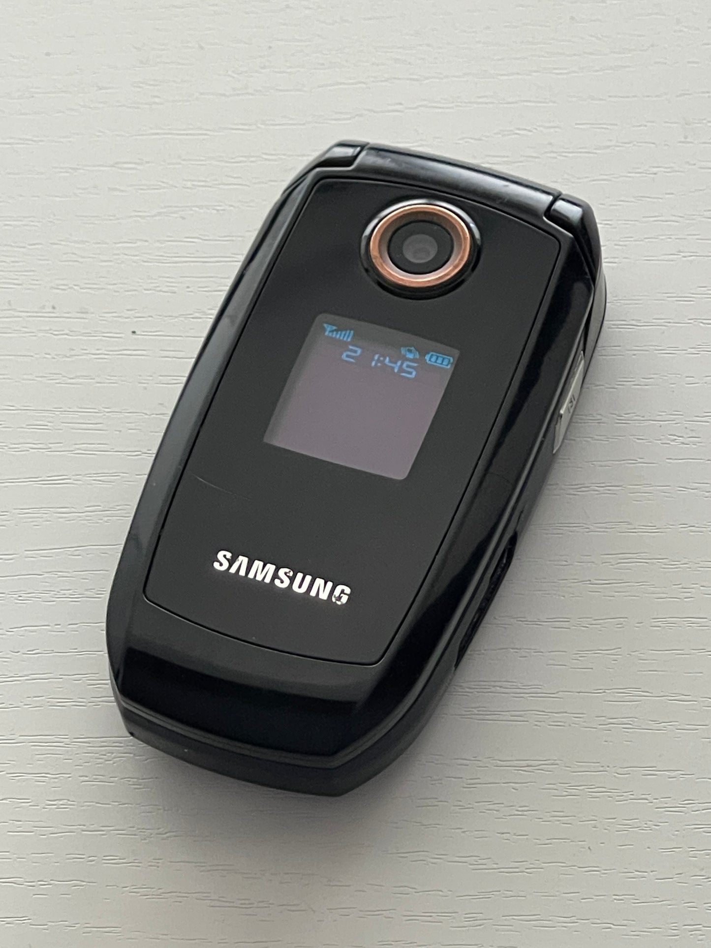 Samsung S501i
