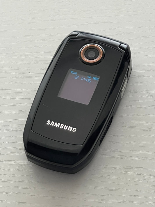 Samsung S501i
