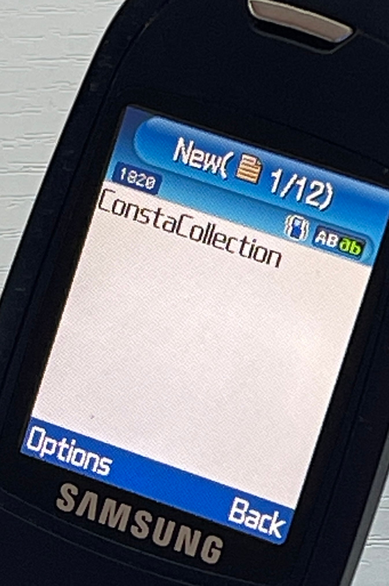 Samsung S501i
