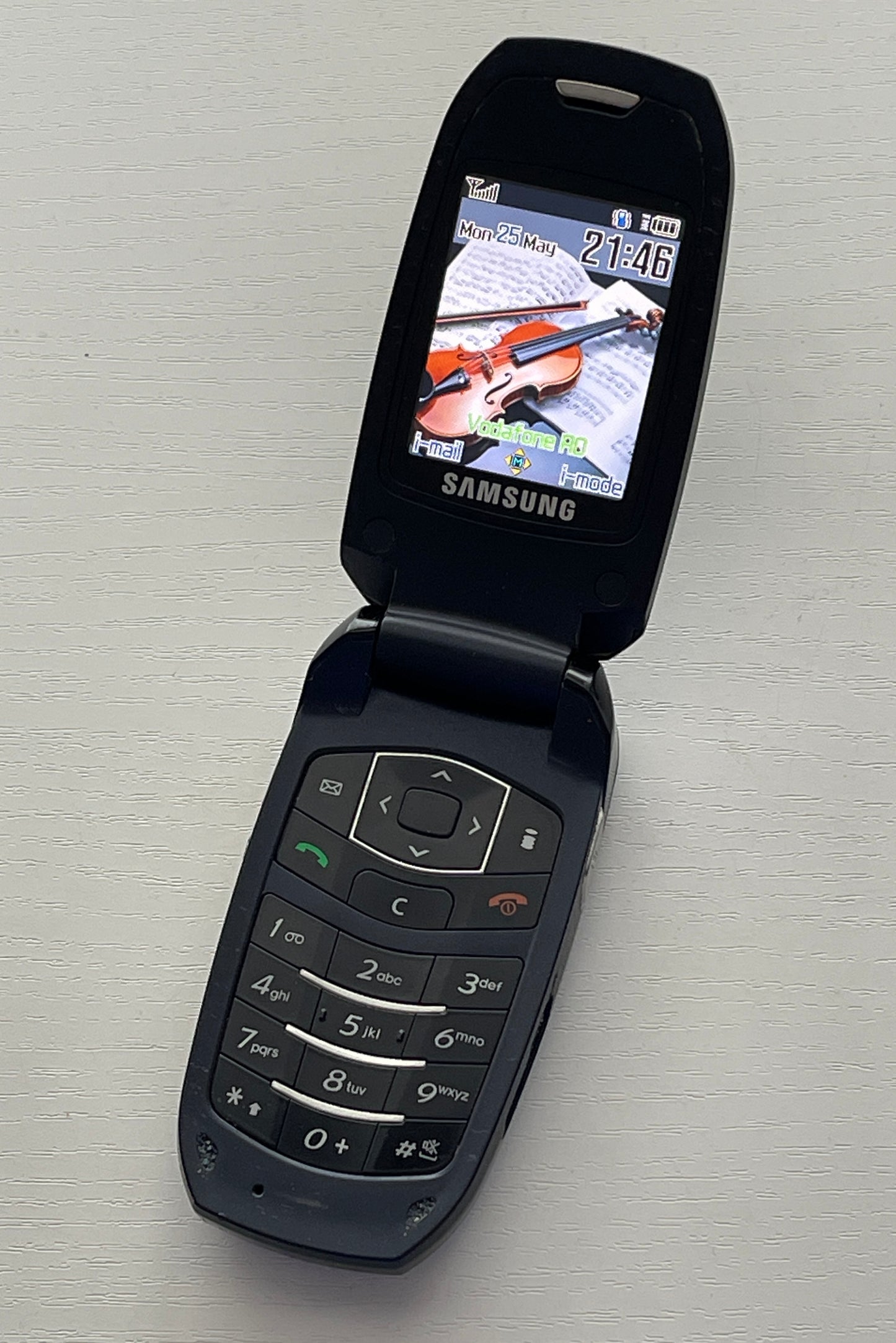 Samsung S501i