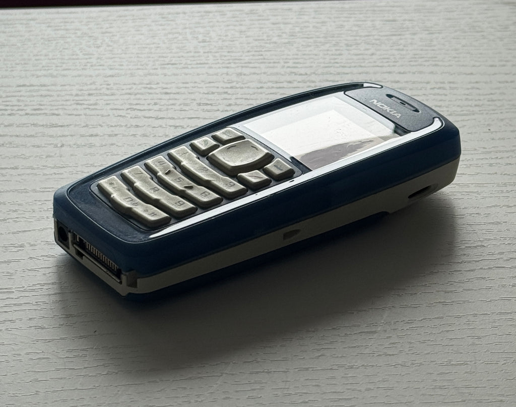 NOKIA 3100