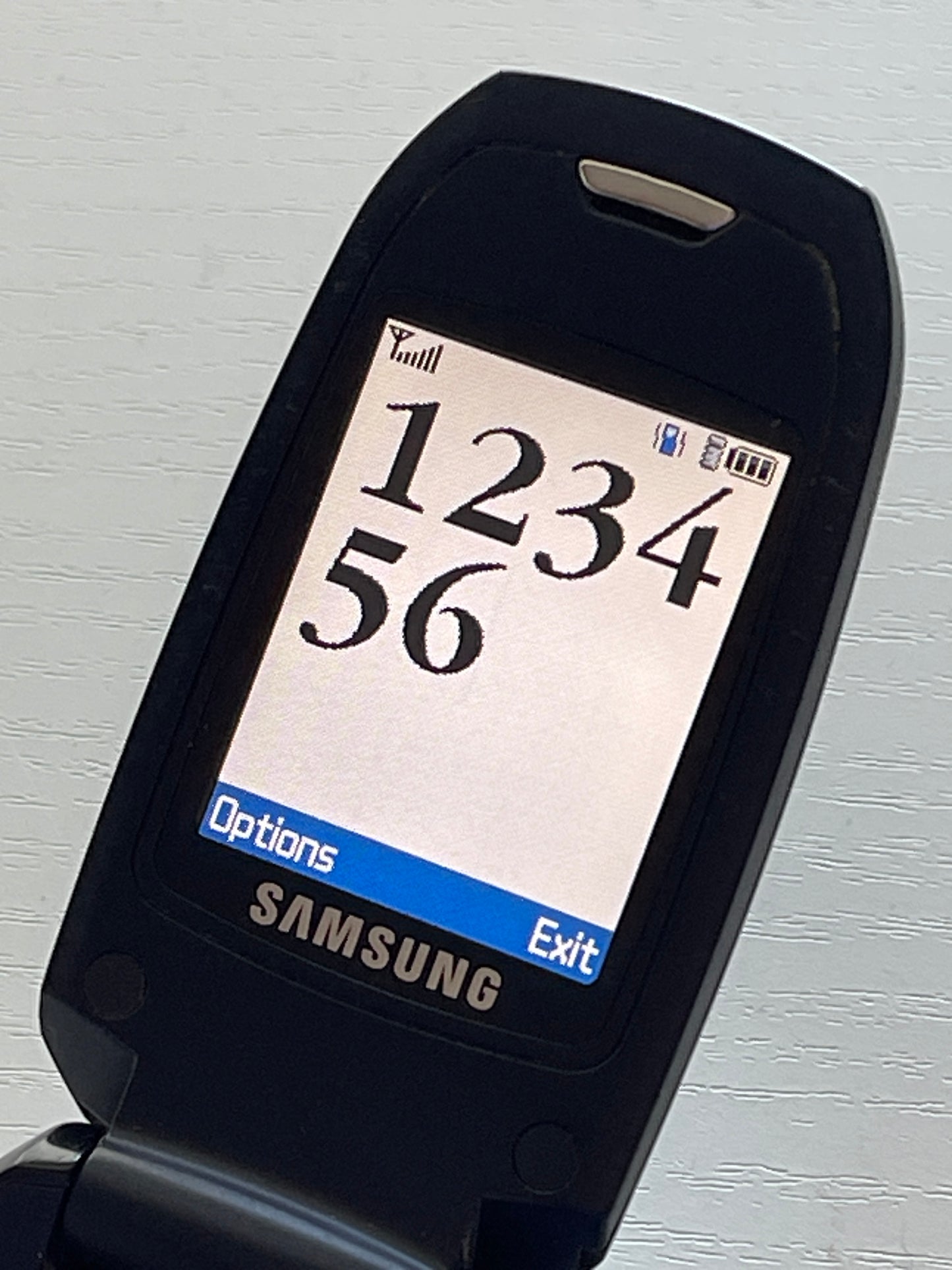 Samsung S501i
